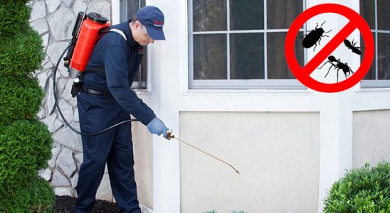 Demirköy Dezenfeksiyon böcek ilaçlama ve haşere kontrolü — ilaclama-tr.com